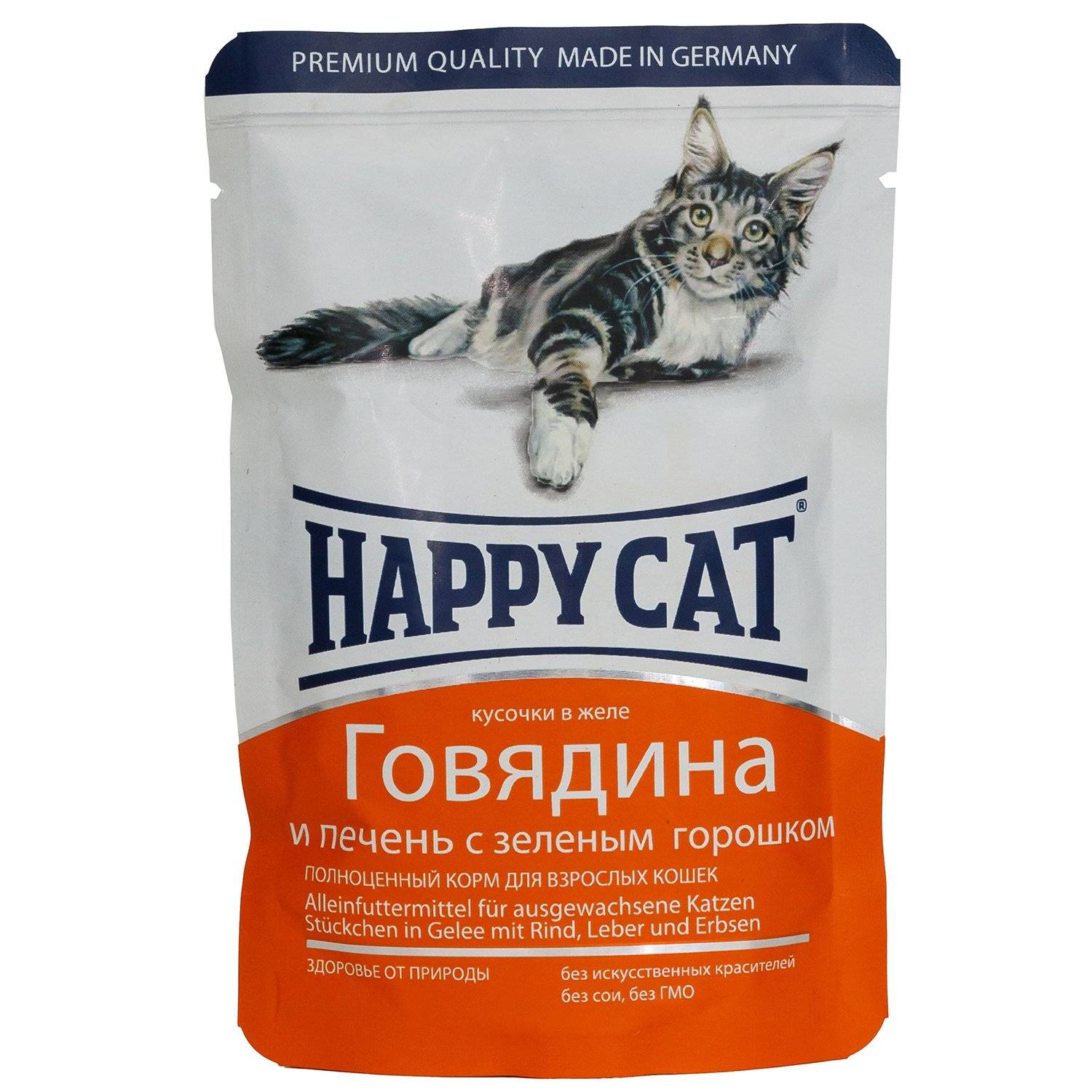 Классы кормов для кошек, классификация по категориям и видам, советы ветеринаров по выбору кошачьего питания