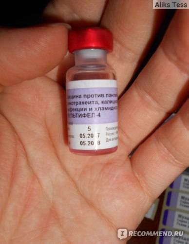 Вакцина мультифел-4 инструкция для кошек, состав, описание и отзывы