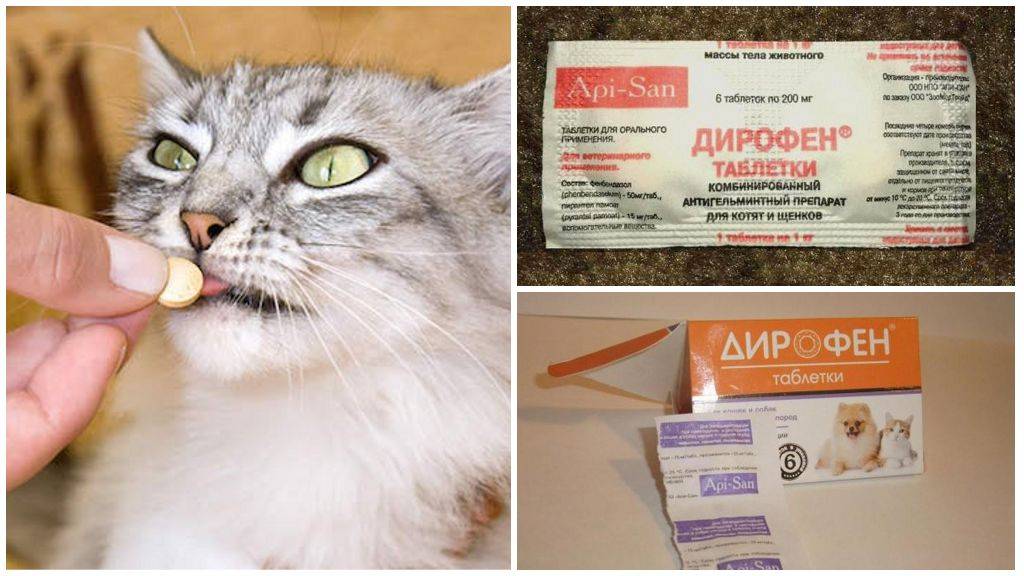 Дирофен (суспензия) для котят, кошек, щенков, собак | отзывы о применении препаратов для животных от ветеринаров и заводчиков