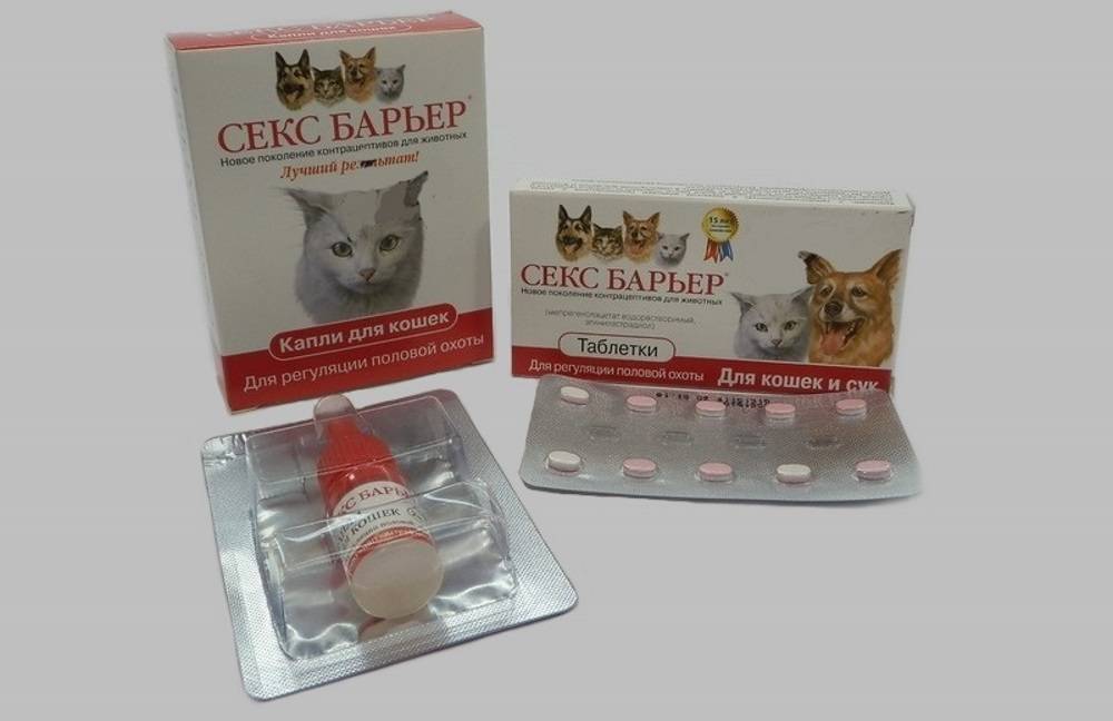 Противозачаточные таблетки для кошек | есть ли средства, название, цена, уколы