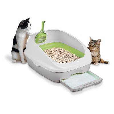 Закрытый туалет для кошек: обзор моделей и рекомендации по выбору