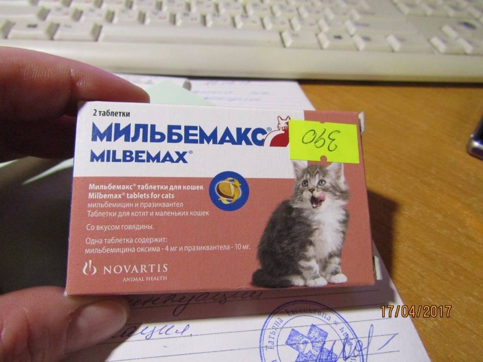 Мильбемакс для кошек - как правильно давать