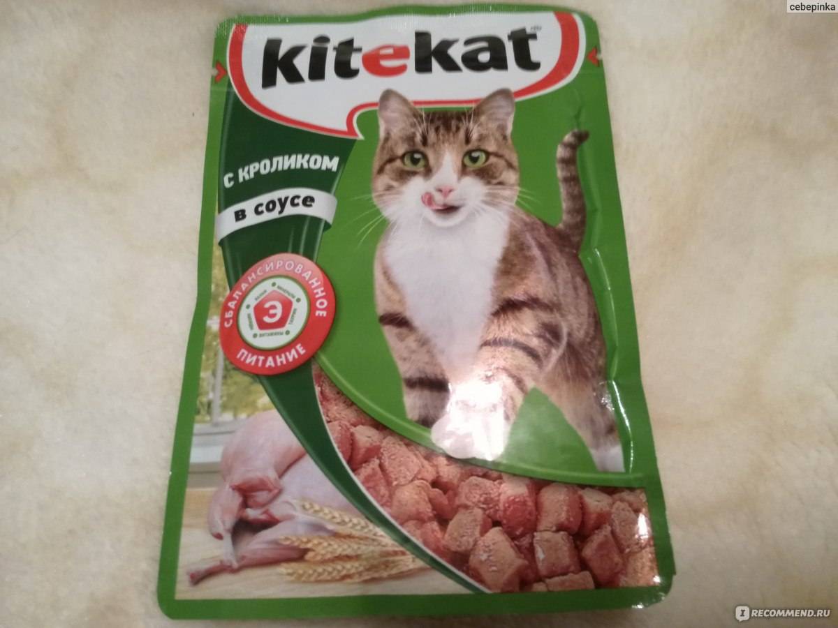 Обзор корма для кошек китекат (kitekat): виды, состав, отзывы