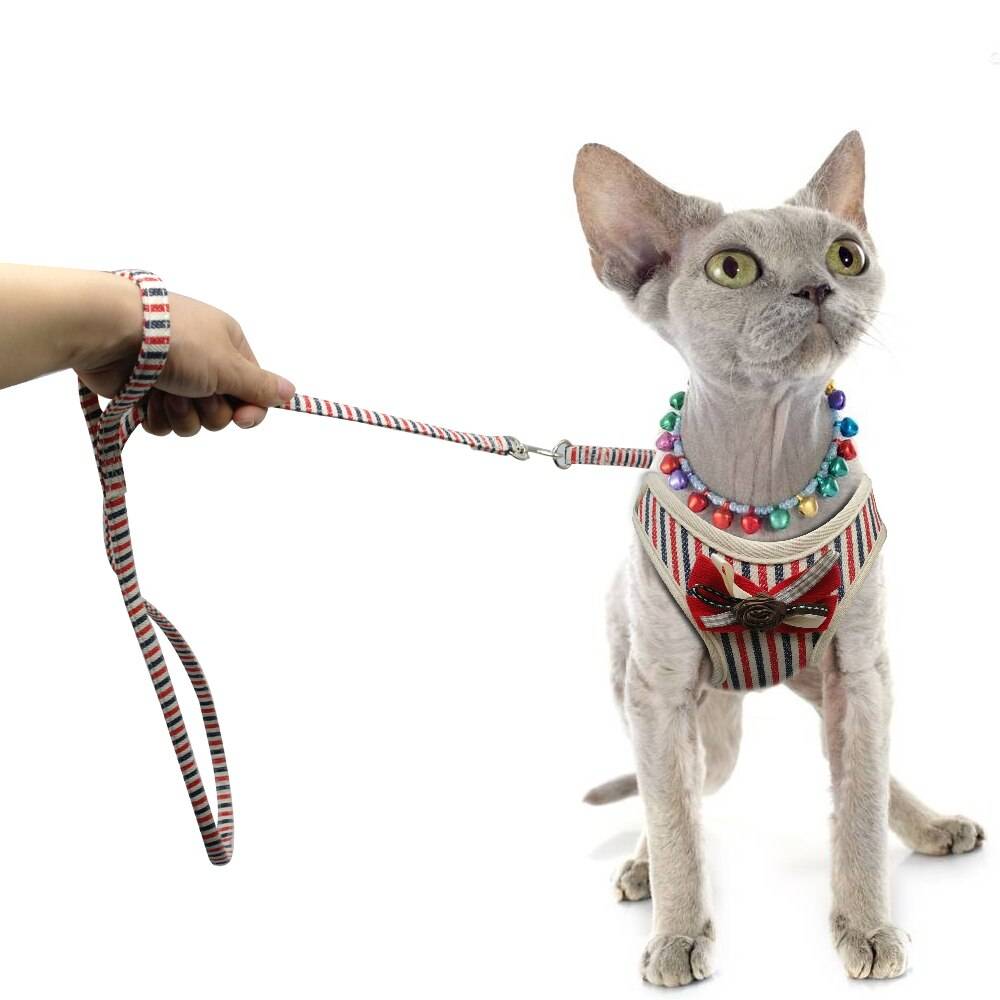 Шлейка для кошки своими руками: общая информация, как сшить поводок по выкройкам