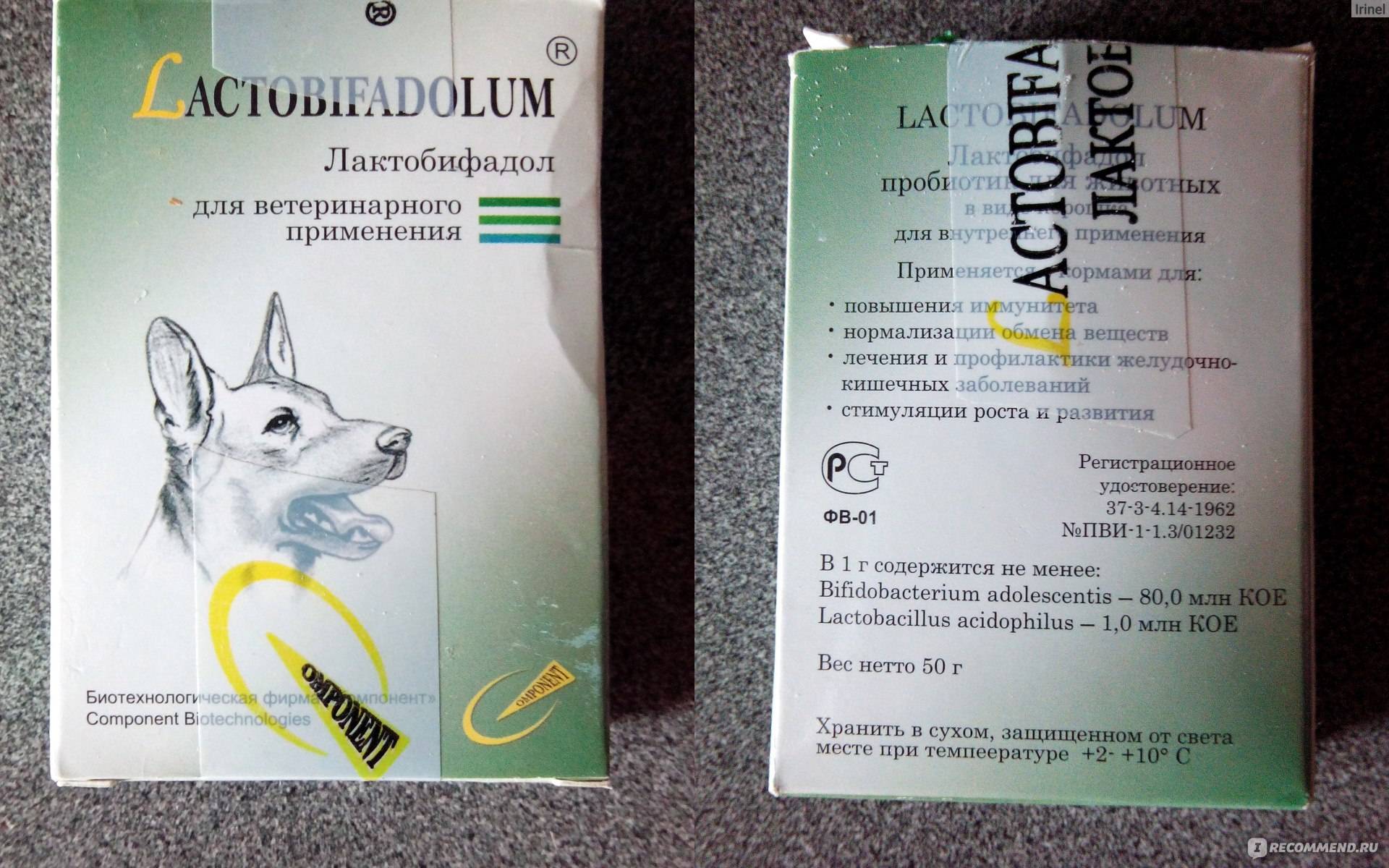 Лактобифид для собак