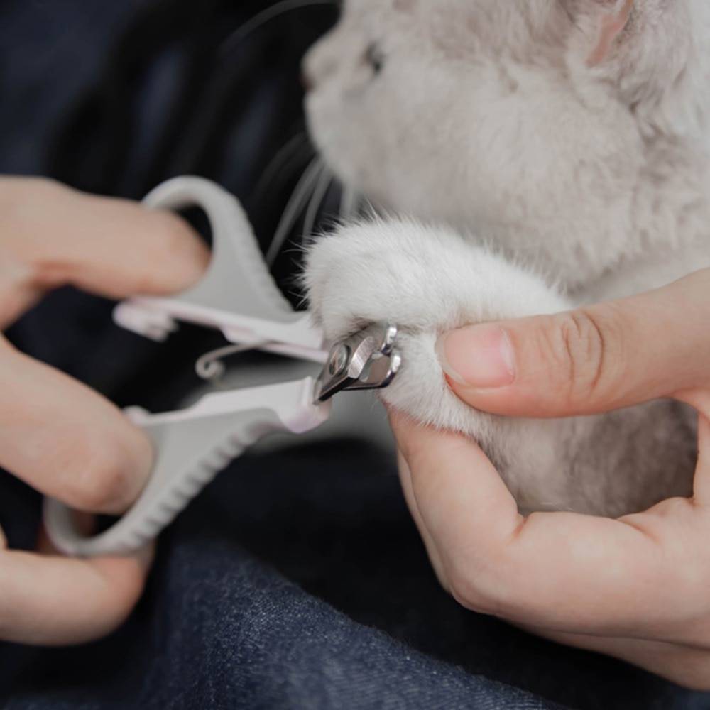 Как часто подстригать когти кошке