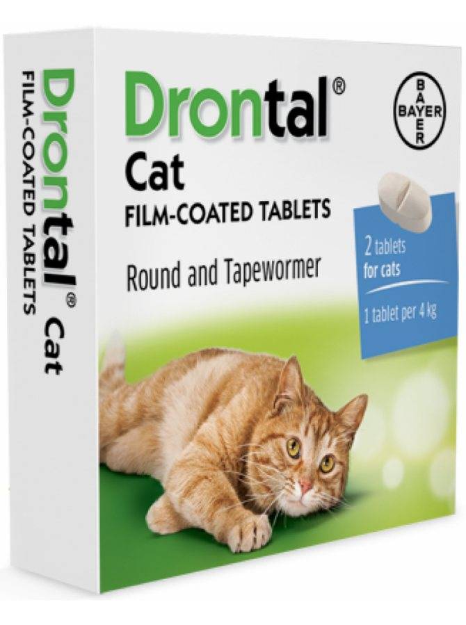 «дронтал» (для кошек): инструкция по применению, аналоги, цена и отзывы