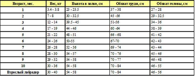 Фото щенков алабая с 1 по 12 месяц: вес и рост по месяцам
