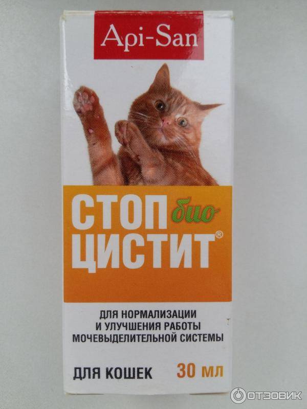Суспензия стоп-цистит био для кошек, 30 мл