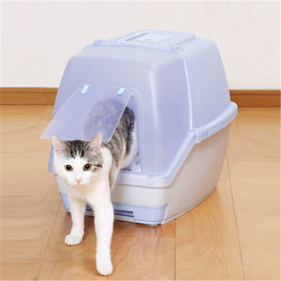 Как пользоваться наполнителем для кошачьего туалета? 16 фото можно ли смывать его в унитаз? как правильно насыпать наполнитель в лоток с решеткой?