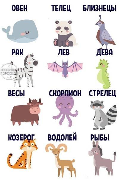 Животные по знакам зодиака: кому какие подходят - gafki.ru