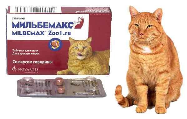 Мильбемакс для кошек
