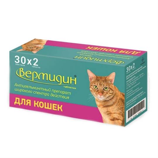 Вермидин для кошек: инструкция по применению