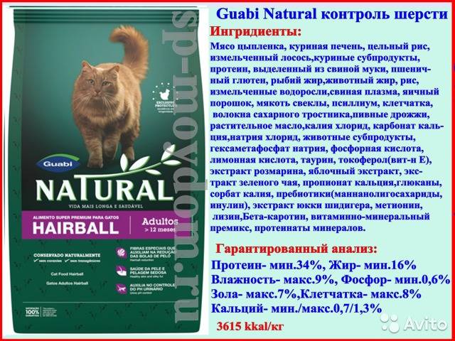 Корм для собак guabi natural: отзывы и разбор состава - петобзор