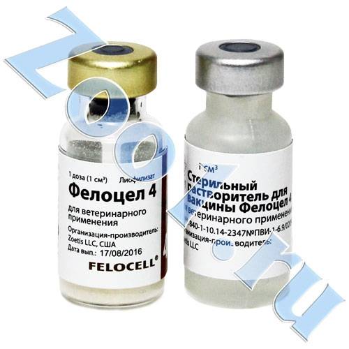 Фелиген — вакцина для кошек