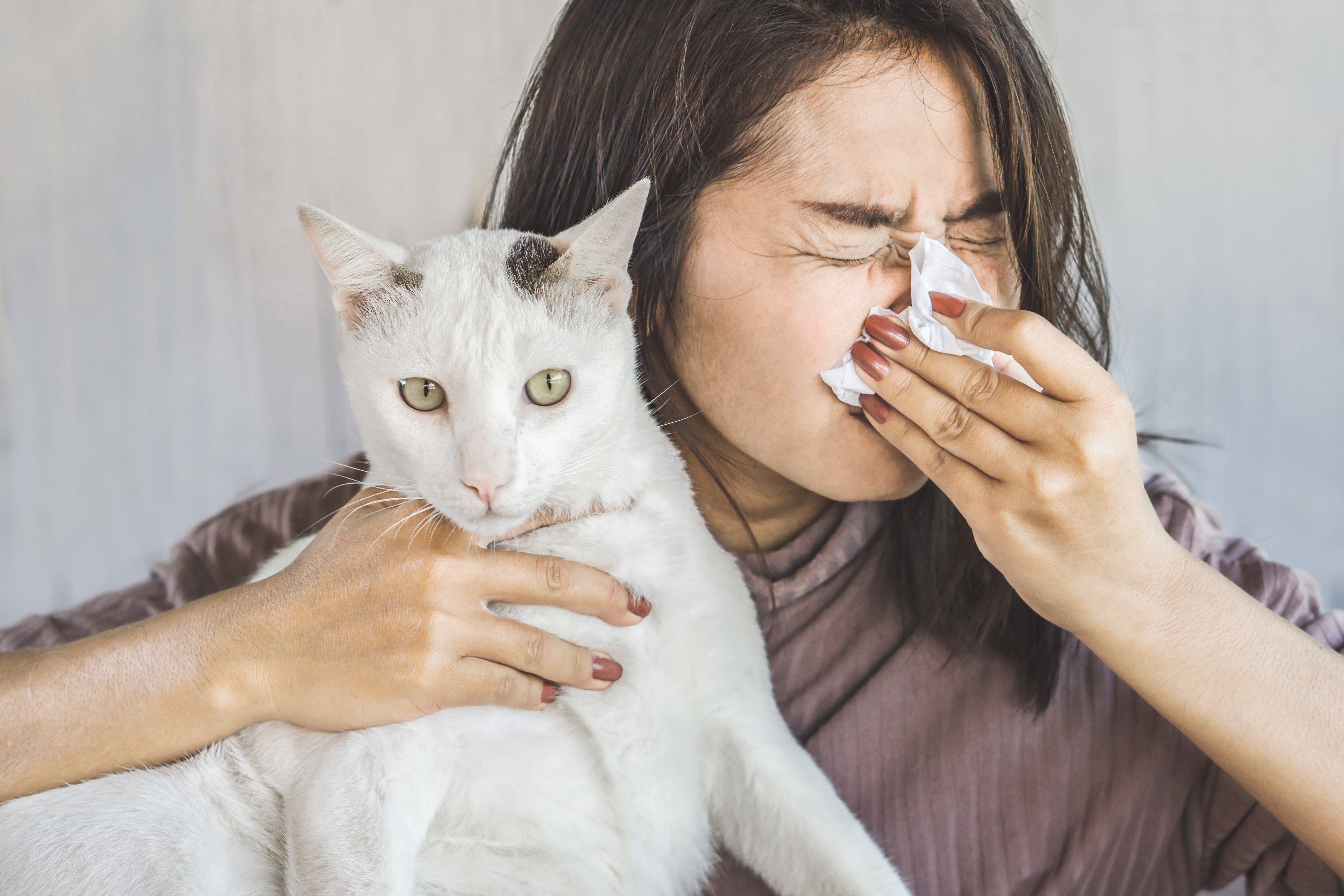5 основных мифов об аллергии на животных у детей