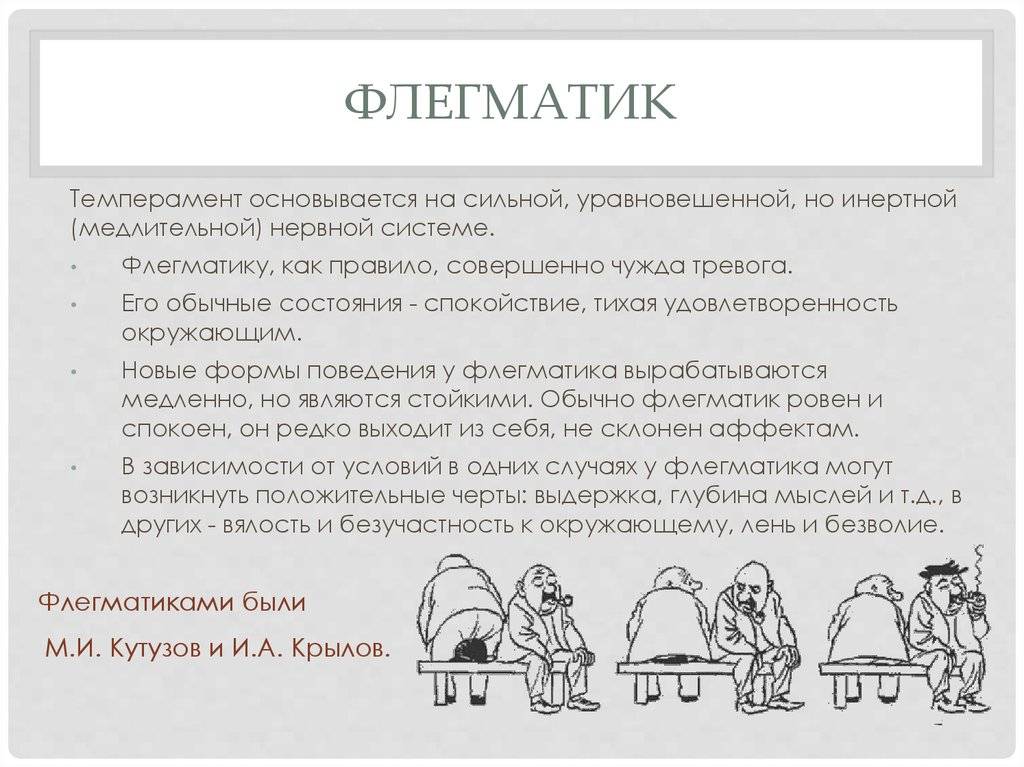 Бульмастиф: характеристика, описание породы, фото | все о собаках