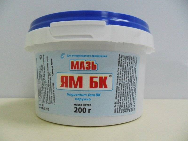 Мазь ям бк для кошек: инструкция и показания к применению, отзывы, цена