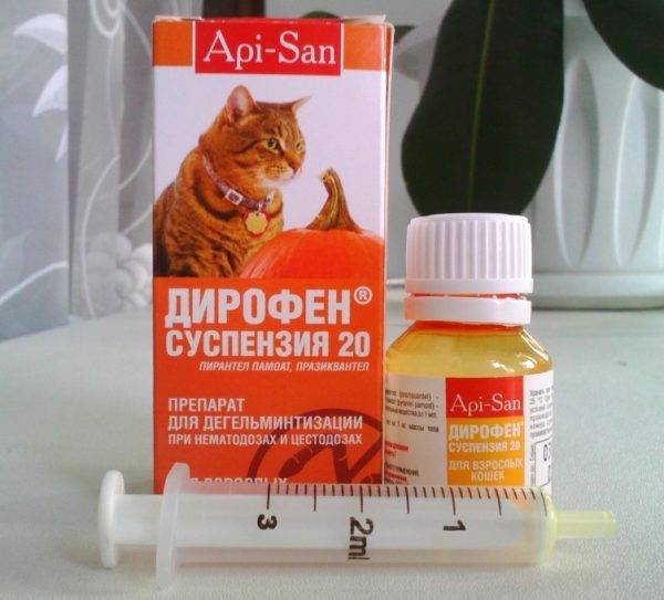 Особенности применения дирофена для кошек