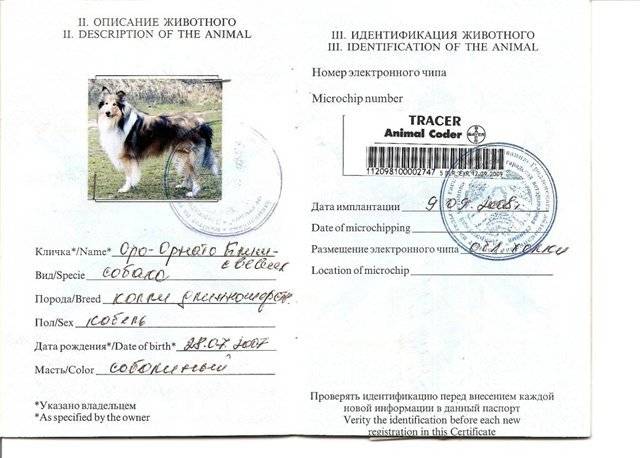 Как заполнить ветеринарный паспорт кошки или собаки правильно