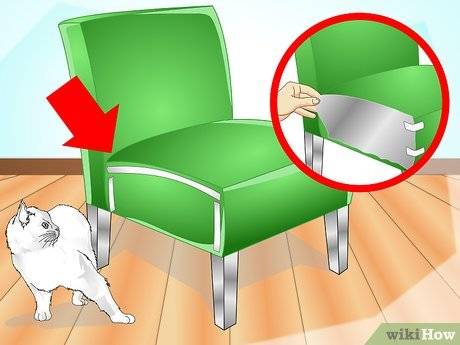 Как отучить кошку драть обои и мебель?