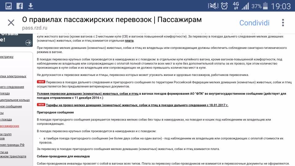 Как провозить животных в поезде по всем правилам - лайфхакер