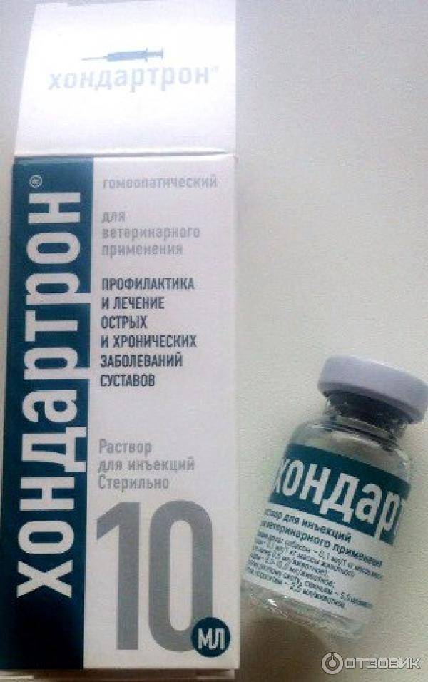 Гомеопатический препарат для кошек и собак хелвет кантарен (10 мл) - цена, купить онлайн в москве, интернет-магазин зоотоваров