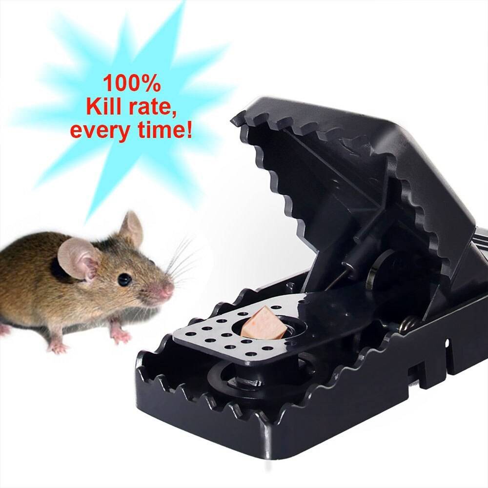 Эффективные способы поймать крысу в домашних условиях