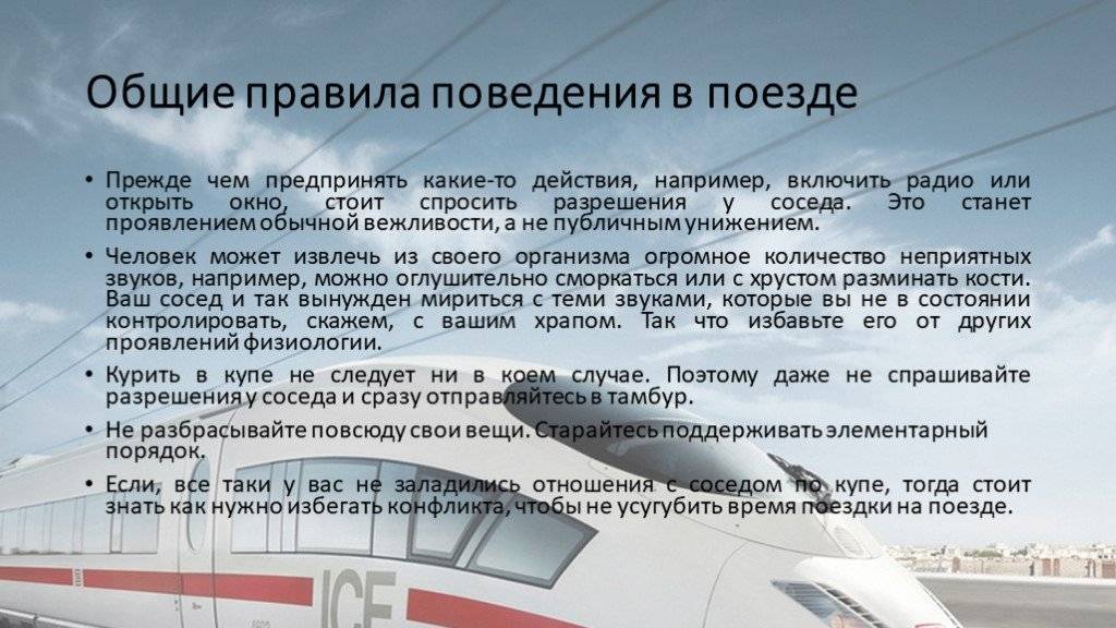 Правила перевозки кошек в поезде по россии ржд: какие документы и прививки нужны для дальнего следования
