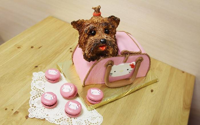 Собачий торт своими руками на день рождения собаке торт для собаки