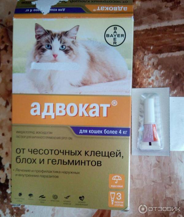 Таблетки от блох для собак и кошек