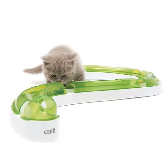 Игрушки для кошек — оригинальные, удобные и практичные игрушки для активных котят и взрослых котов и кошек (110 фото)