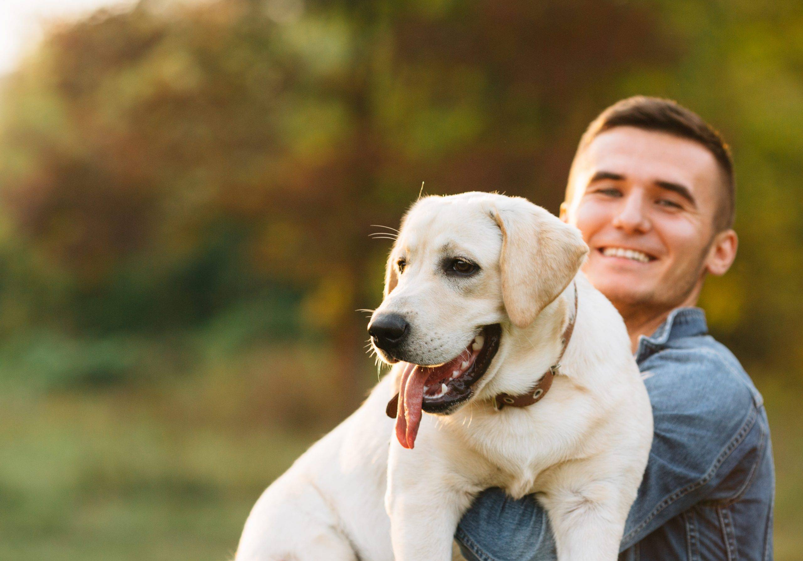 4 улыбки собаки | социум | наша психология