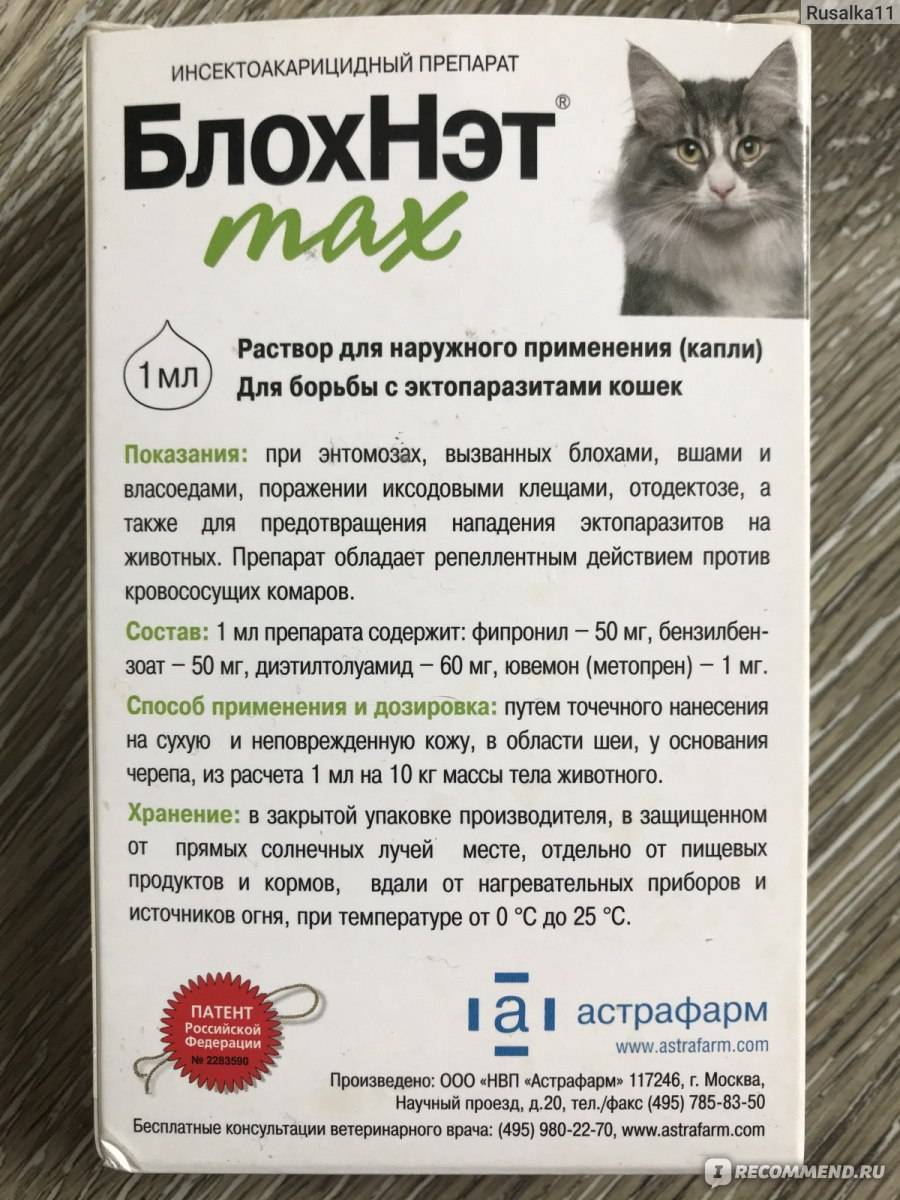 Лекарство для кошек от блох и глистов