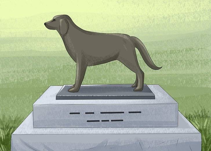 Как и где правильно похоронить собаку? правила и основные ошибки