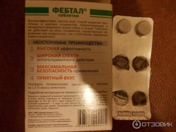 Фебтал для кошек: инструкция по применению, показания и противопоказания, аналоги, отзывы