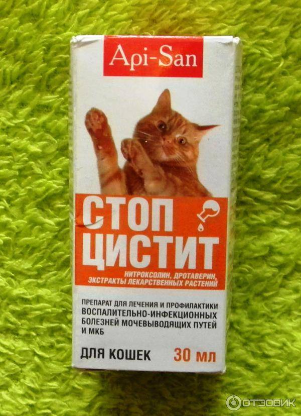 Таблетки стоп-цистит для кошек - купить, цена и аналоги, инструкция по применению, отзывы в интернет ветаптеке добропесик
