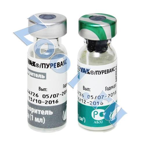 Вакцина для кошек пуревакс: описание препарата, инструкция по применению и отзывы