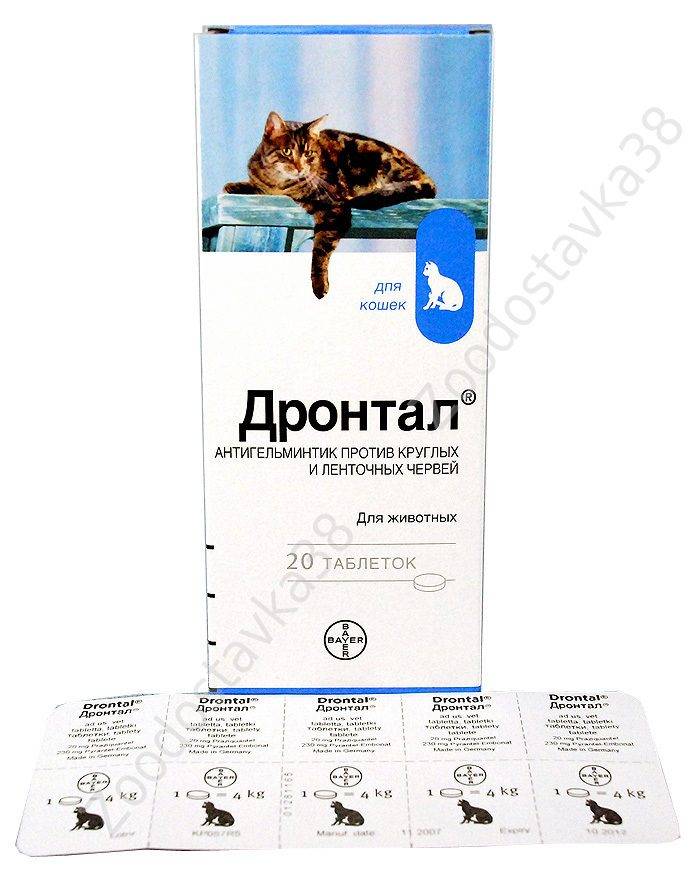 Дронтал для кошек: инструкция по применению, состав, дозировка и цена | kotodom.ru
