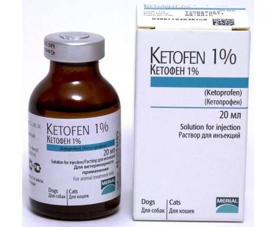 Ветеринарный препарат кетофен для собак: инструкция, показания