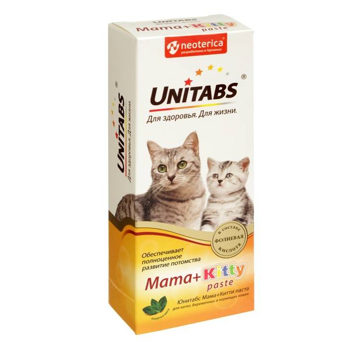 Какие лучше выбрать витамины для кастрированного кота?