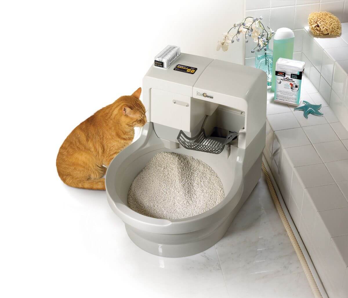 Автоматический туалет для кошек: самоубирающийся лоток-унитаз