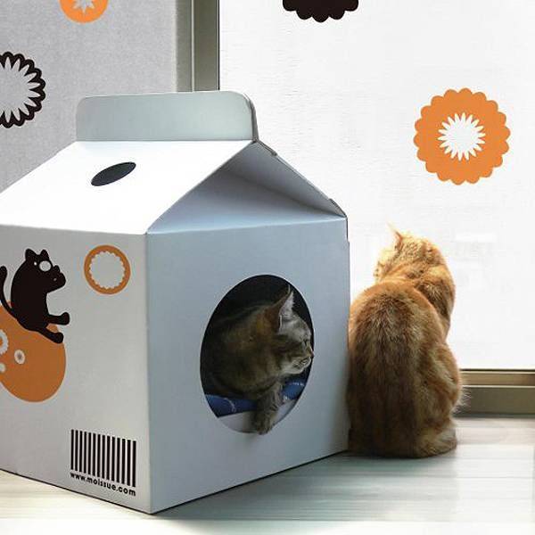 Как сделать домик для кошки своими руками: лучшие конструкции и пошаговая инструкция по их постройке (110 фото)