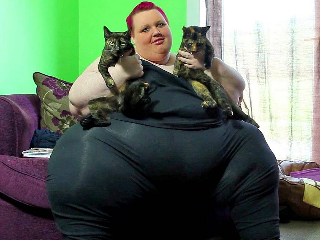 7 самых толстых кошек в мире