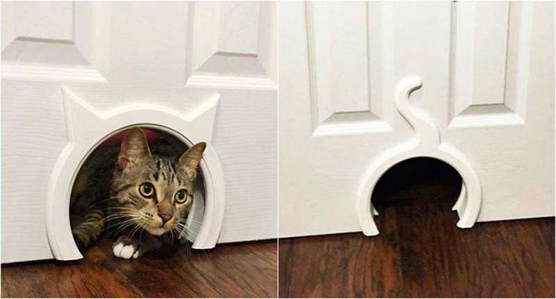 Двери для кошки в двери – 3 вида проходов для питомца