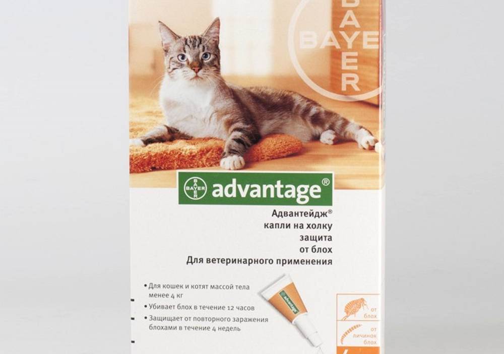 Адвантейдж для кошек до 4 кг - купить, цена и аналоги, инструкция по применению, отзывы в интернет ветаптеке добропесик