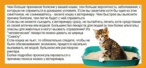 Энтеросгель для кошек, дозировка и инструкция по применению: как давать препарат при рвоте и поносе?