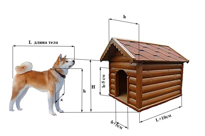 Как сделать уютную и теплую будку для собаки
