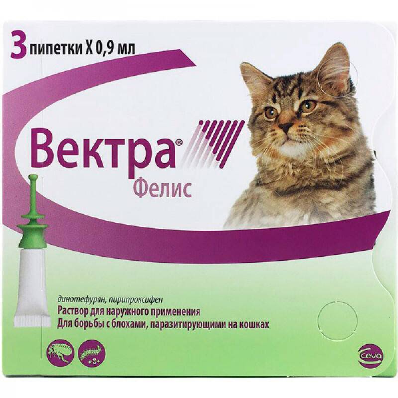 Препарат (лекарство) для кошек - catstem: лечение заболеваний, укрепление иммунитета, регенерация