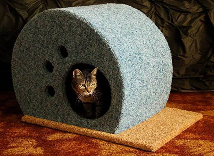 Как сделать домик для кошки своими руками — идеи и пошаговая инструкция изготовления места для котика (105 фото)